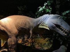 -福建博物院