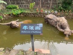 -燊海井