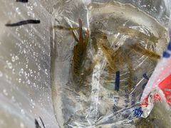 -十三陵水库