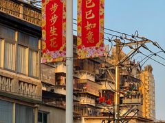 -溪岸路花鸟市场