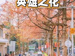 -烈士陵园(地铁站)