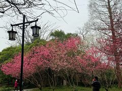 -上海玛雅海滩水公园