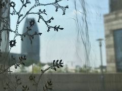 -品粹徽园·家常安徽菜