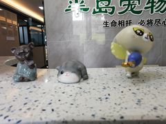 -半岛宠物医院24小时(科华中路店)