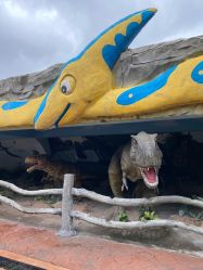 -宝燕乐园(闵行旗舰店)