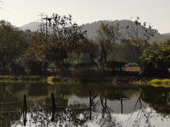 -八卦田遗址公园