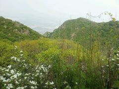 -阳台山自然风景区