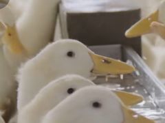 -九花山烤鸭店