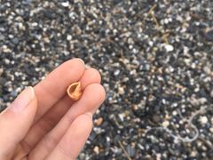 -七星潭蓝天广场