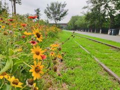 -永定河休闲森林公园