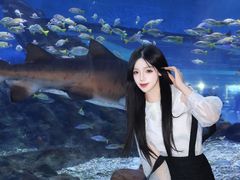 -海合安武汉极地海洋公园