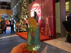 -上海浦东康桥绿地假日酒店