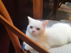 -IFIF 如果花園(宽厚里店)