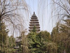 -洛阳白马寺