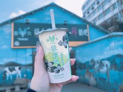 -扬大康源乳业鲜奶吧(江都路店)
