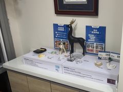 -精德口腔·种植修复·儿牙中心(财富中心店)