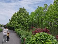 -杭州湾海上花田景区