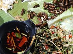 -品德宏·孔雀宴的发源地(金塔园店)