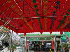 -上海大自然野生昆虫馆(东方明珠·爬宠昆虫探索中心)