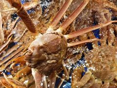 -海景壹号大酒店(滨湖店)