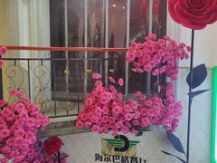 -海尔巴格新疆餐厅(东来兴店)