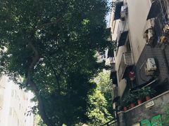 -熊面妈老面馆