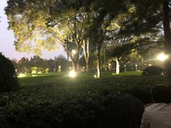 -曲江春晓苑