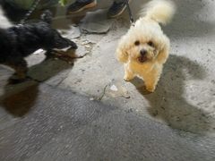 -前小桔亲子创意农场·草莓采摘·露营烧烤
