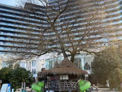 -绿城千岛湖喜来登度假酒店
