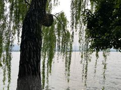 -西湖天地