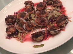 血蚶-宁波汉通海鲜大酒店(江湾店)