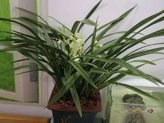 -小意思咖啡店(草桥店)
