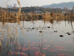 -云龙湖旅游景区