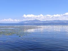 -洱海月湿地公园
