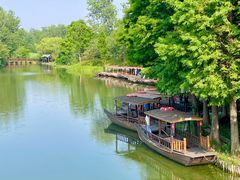 -溱湖国家湿地公园