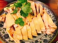 -九斤黄三黄鸡专卖店