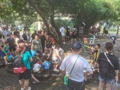 -成都市活水公园