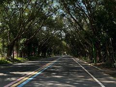 -东南花都花博园