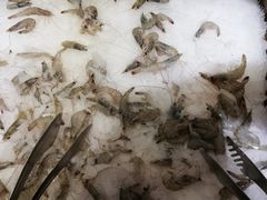 -汉金城海鲜烤肉自助百汇(烟台永旺购物中心店)