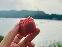 -湖畔居茶楼(湖滨店)