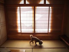 iphone_upload_pic-北京美神宫艺术主题温泉酒店