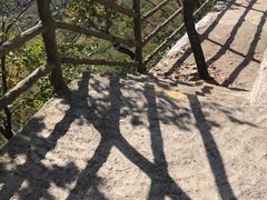 -天女山森林公园