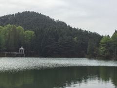 -四明山国家森林公园