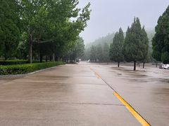 -龙口南山旅游景区