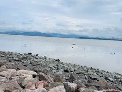 -深圳湾公园(南山区)