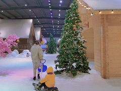 -宁波冰雪大世界(北仑区)