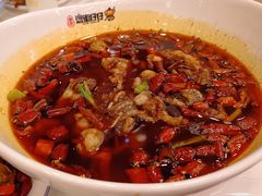 -簋街仔仔小龙虾(总店)