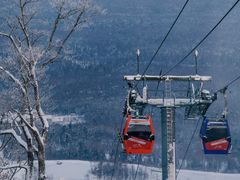 -长白山万达喜来登度假酒店