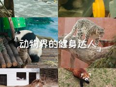 -青藏高原野生动物园