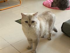 -平行世界·猫咖(首经贸店)